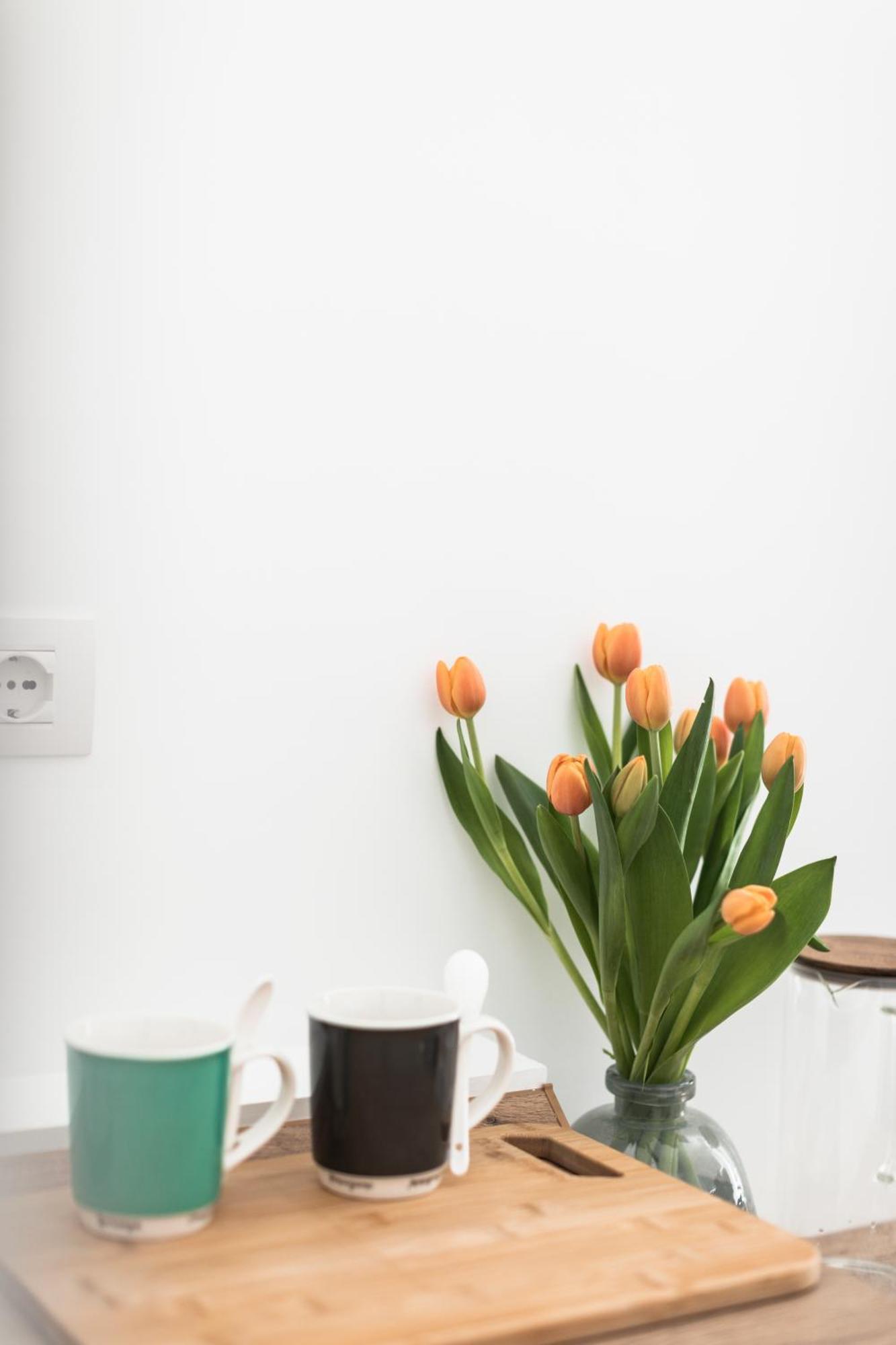 Apartamento Circolo Degli Scipioni